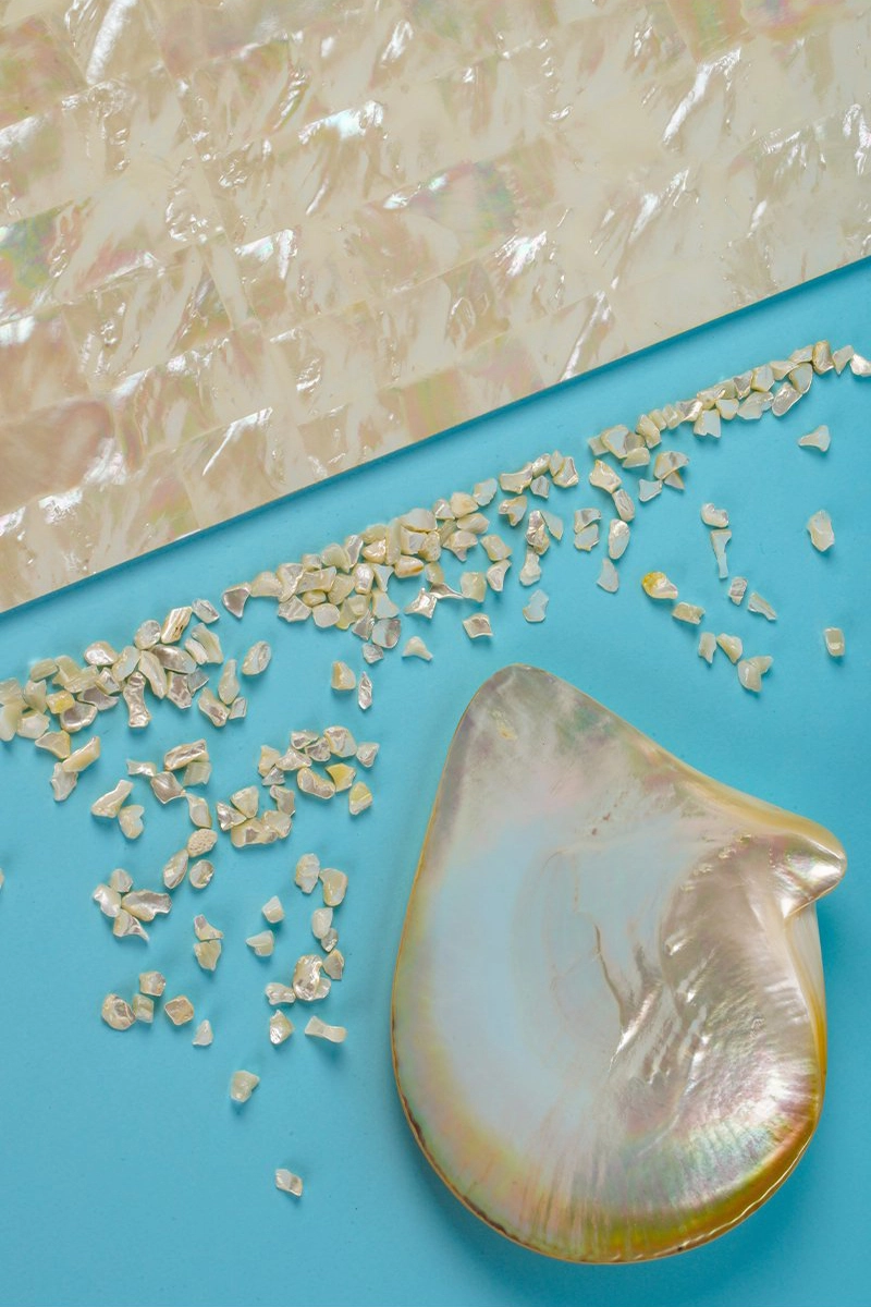 a mother of pearl shell and shell pieces on a blue surface