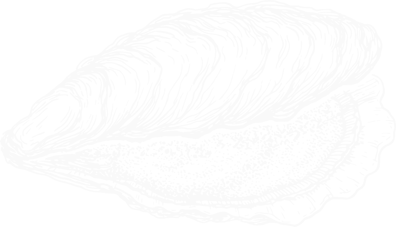 mother of pearl oyster illustration